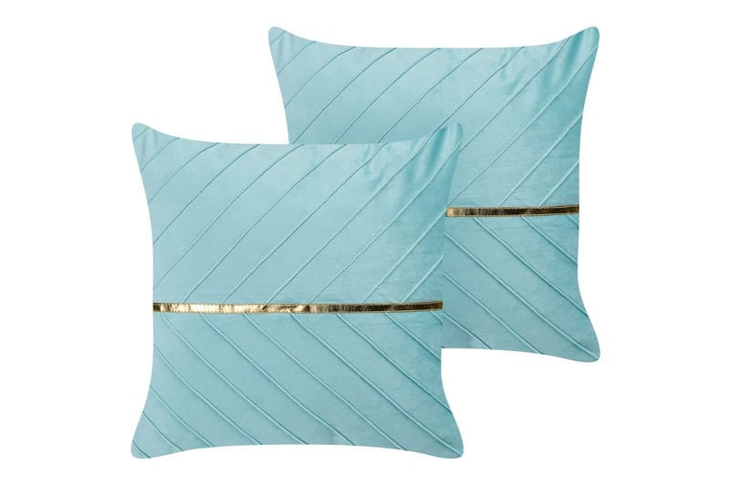 Prydnadskuddar Coneflower set om 2