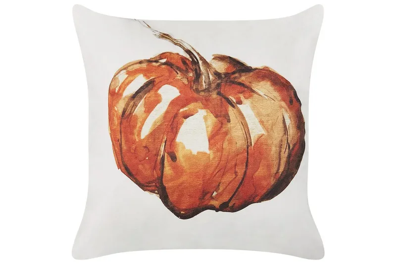 Prydnadskuddar Curbita