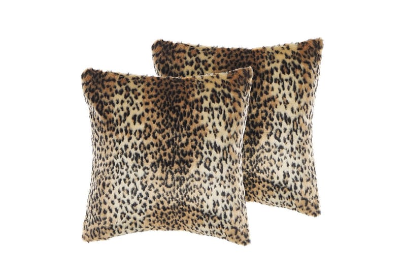 Prydnadskuddar Foxtail set om 2