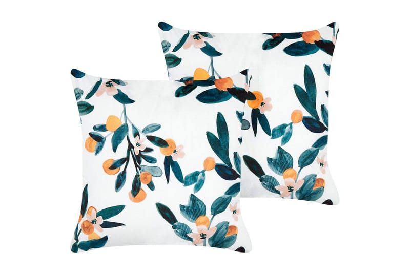 Prydnadskuddar Knautia set om 2