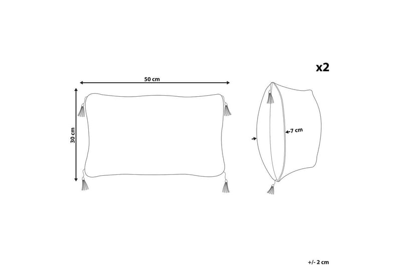 Prydnadskuddar Liriope set om 2 Rektangulär - Rektangulär - Textilier & mattor - Kuddar & plädar