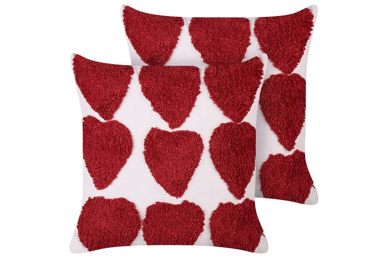 Prydnadskuddar Mingora set om 2