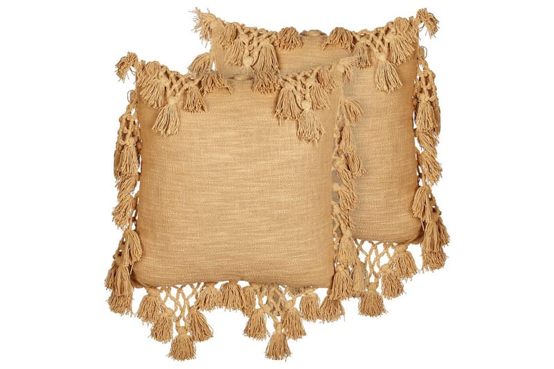 Prydnadskuddar Olearia set om 2 Sandeige, Sandeige