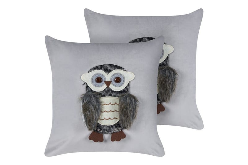 Prydnadskuddar Ophrys set om 2