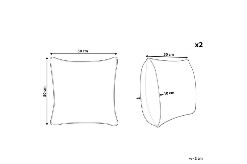 Prydnadskuddar Raiganj set om 2 - Textilier & mattor - Kuddar & plädar