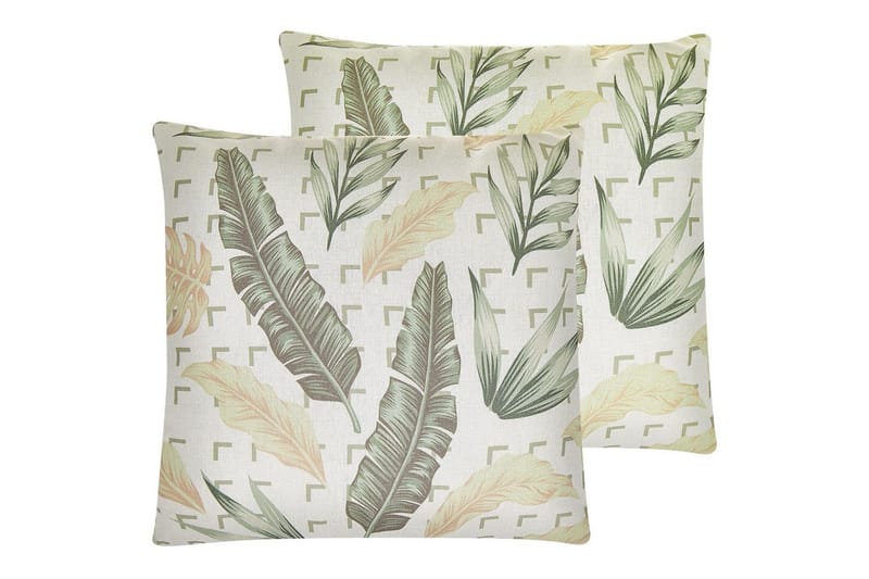 Prydnadskuddar Rhapis set om 2