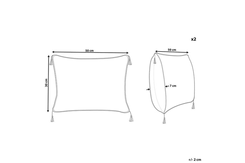 Prydnadskuddar Schefflera set om 2 Rektangulär - Rektangulär - Textilier & mattor - Kuddar & plädar - Utomhuskudde
