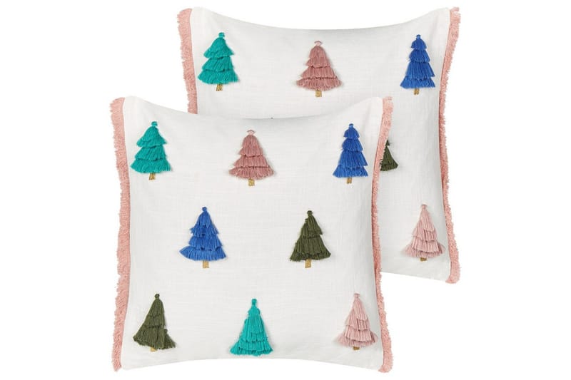 Prydnadskuddar Skimmia set om 2