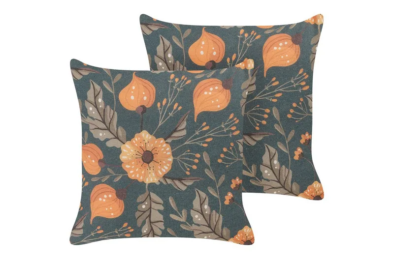 Prydnadskuddar Sotol