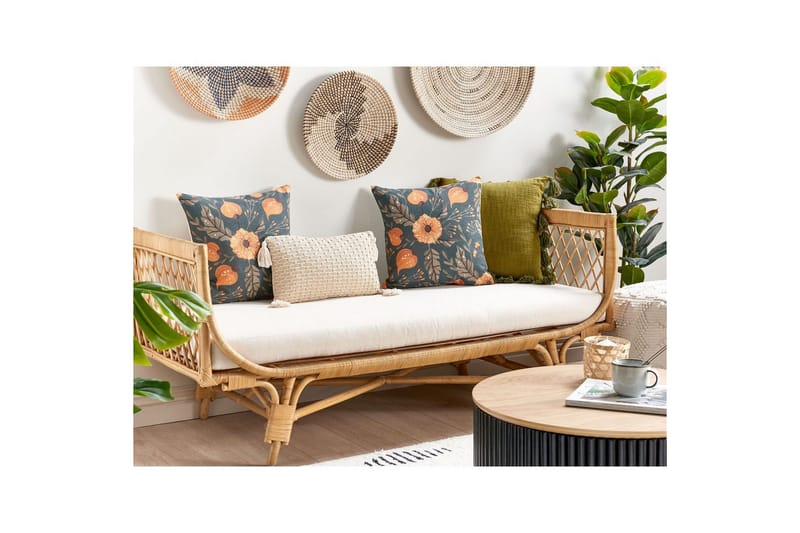 Prydnadskuddar Sotol - Textilier & mattor - Kuddar & plädar