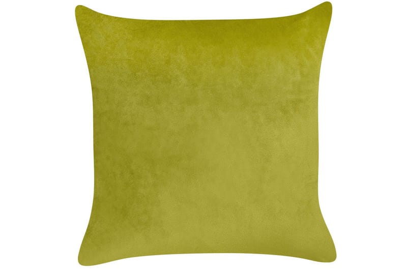 Prydnadskuddar Yuzuri set om 2 Ljusgrön/guld - Ljusgrön/guld - Textilier & mattor - Kuddar & plädar