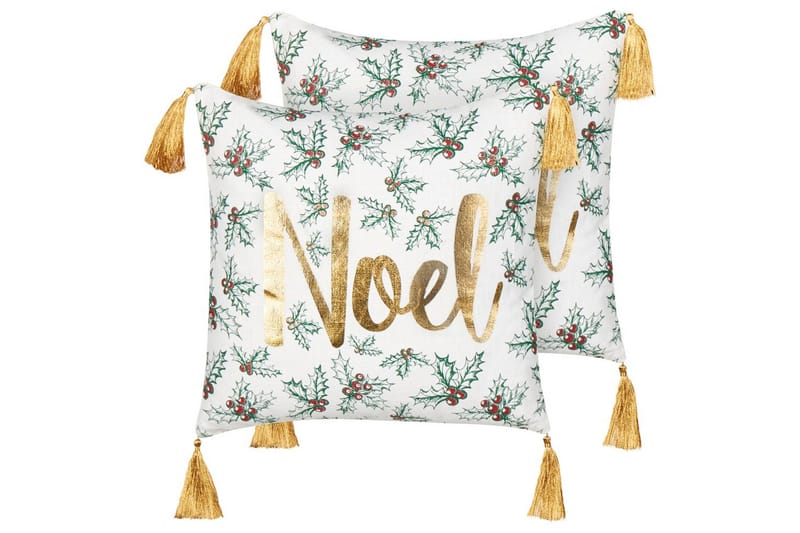 Prydnadskuddar Zamia set om 2