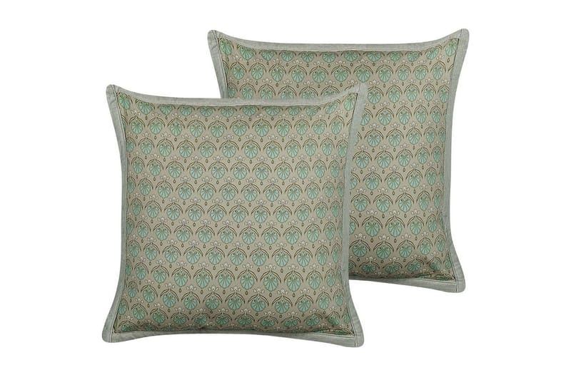 Prydnadskuddar Pictus set om 2