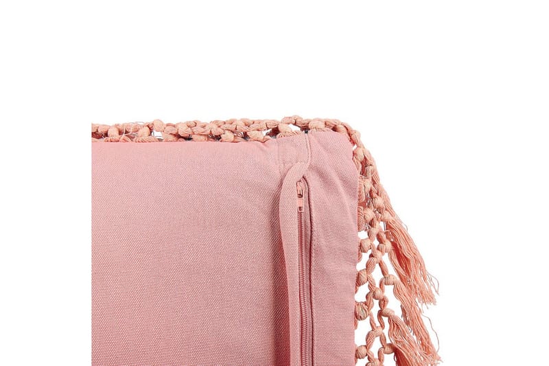 Prydnadskuddar Parrotia set om 2 - Textilier & mattor - Kuddar & plädar - Utomhuskudde