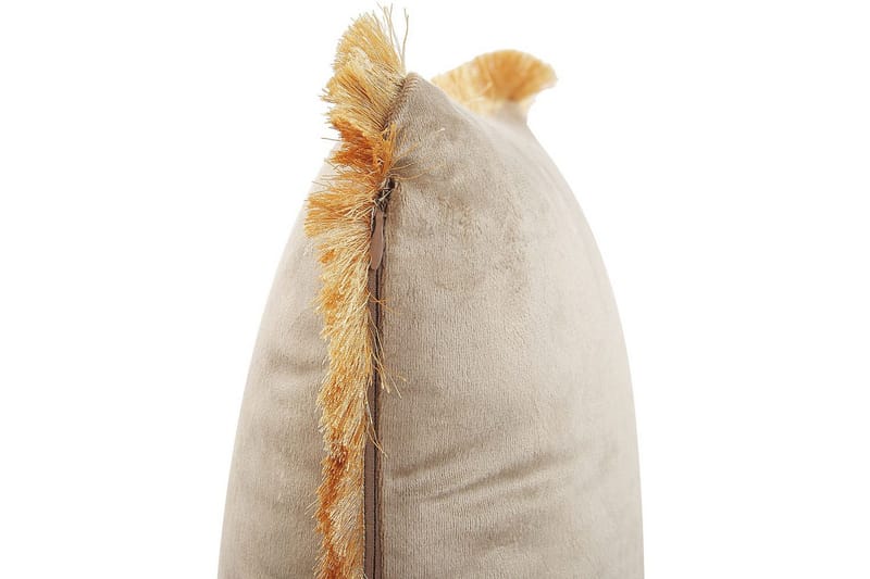 Prydnadskuddar Pothos set om 2 Rektangulär - Rektangulär - Textilier & mattor - Kuddar & plädar - Utomhuskudde