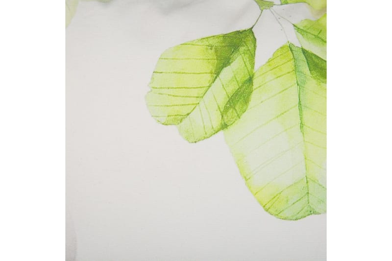 Prydnadskuddar Peperomia - Textilier & mattor - Kuddar & plädar