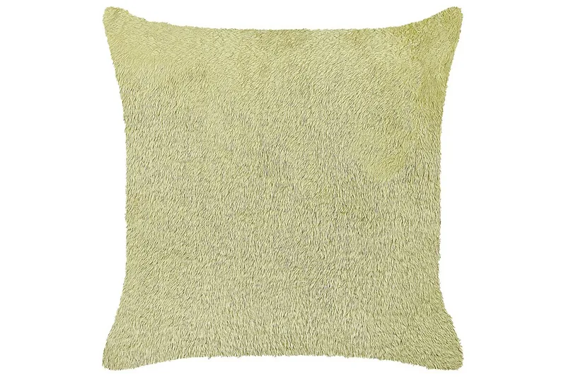 Prydnadskuddar Pilea Grön, Grön
