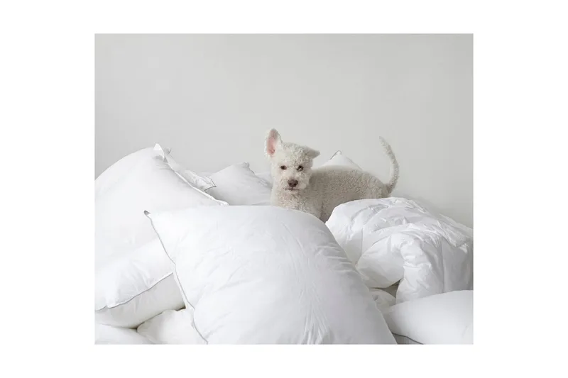 Kudde Hotellkudde - 50 x 70 cm - Textilier & mattor - Sängkläder