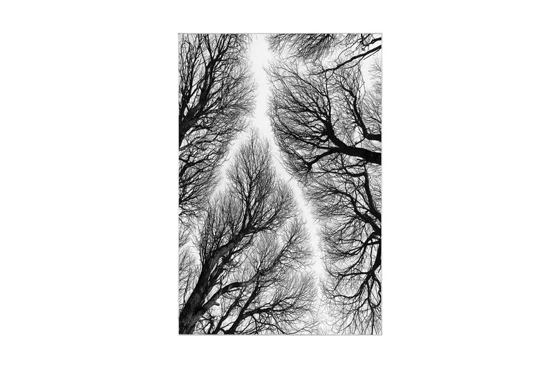 Pamjeet Badrumsmatta 60x150 cm Rektangulär - Flerfärgad - Textilier & mattor - Mattor - Badrumsmattor