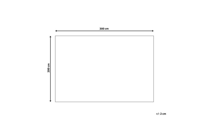 Matta Punge - 200x300 cm - Textilier & mattor - Mattor - Flatvävda mattor