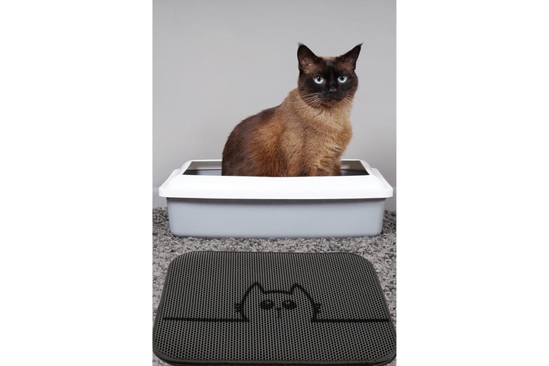 Chilai Kattsandsmatta 45x60 cm, Multifärgad