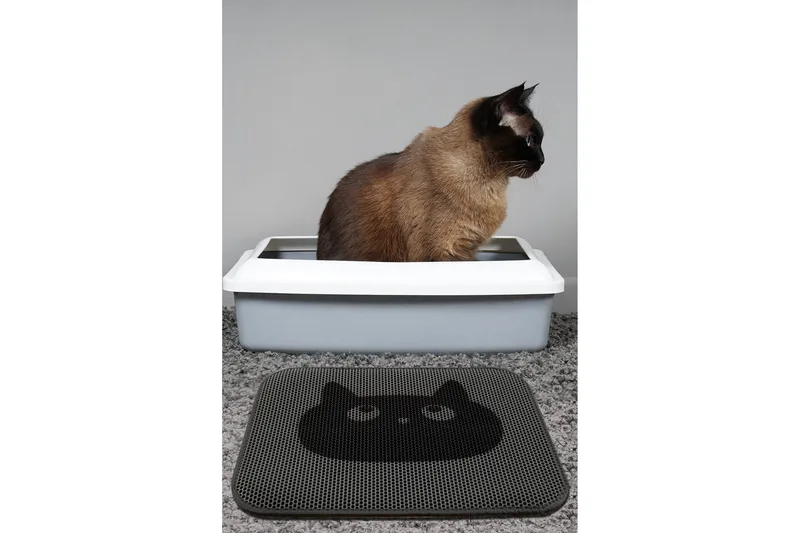 Chilai Kattsandsmatta 45x60 cm - Multifärgad - Textilier & mattor - Mattor - Modern matta - Friezemattor