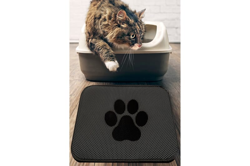 Chilai Kattsandsmatta 45x60 cm, Multifärgad