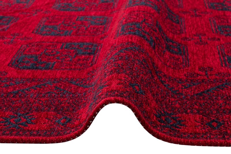 EKO HALI Matta 160x230 cm Röd/Mörkblå - Friezemattor - Wiltonmattor - Stora mattor