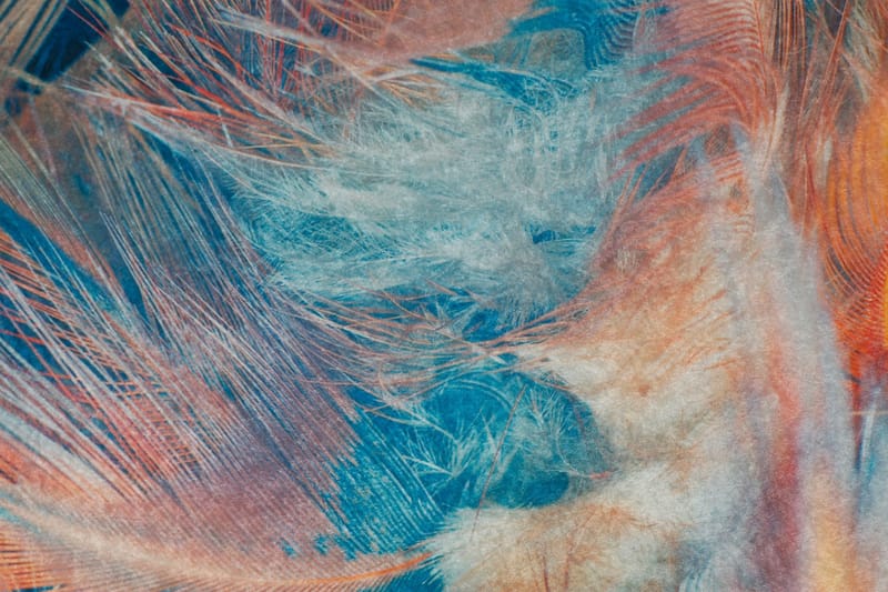 Furgon Matta 120x180 cm - Flerfärgad - Textilier & mattor - Mattor - Modern matta - Friezemattor