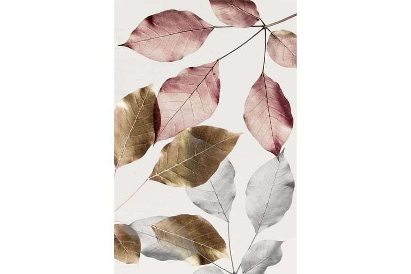 Homefesto Matta 120x180 cm - Multifärgad - Textilier & mattor - Mattor - Modern matta - Friezemattor