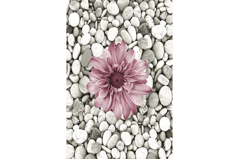 Homefesto Matta 60x100 cm - Multifärgad - Textilier & mattor - Mattor - Modern matta - Friezemattor