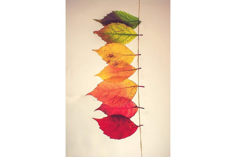 Homefesto Matta 60x100 cm - Multifärgad - Textilier & mattor - Mattor - Modern matta - Friezemattor