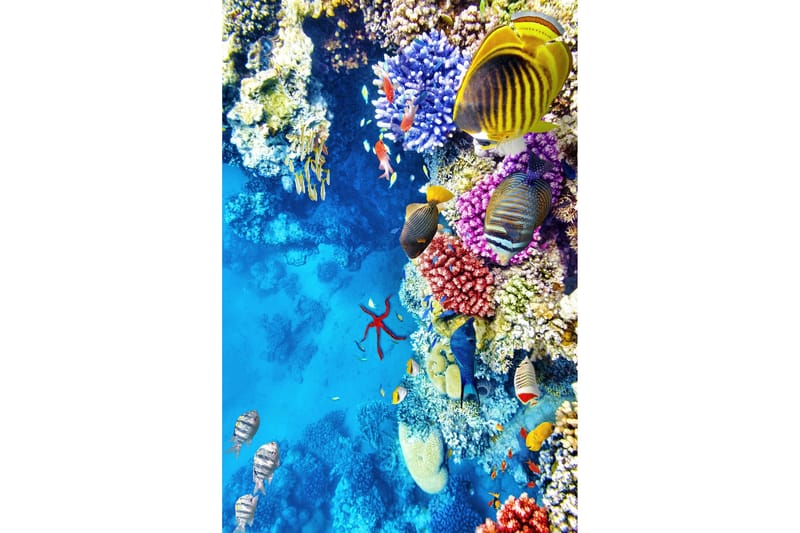 Nobuhiko Wiltonmatta 60x100 cm Rektangulär - Flerfärgad - Textilier & mattor - Mattor - Modern matta - Friezemattor