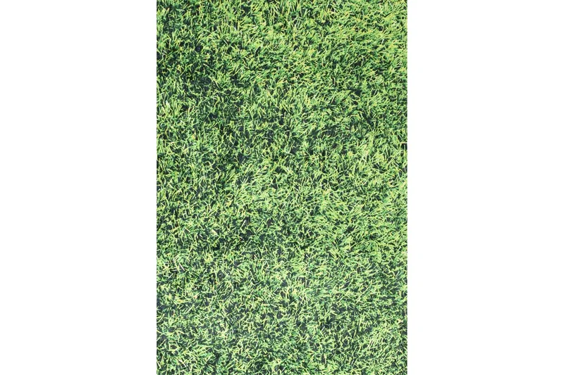 Ahihia Entrematta 100x300 cm - Flerfärgad/Sammet - Textilier & mattor - Mattor - Modern matta - Gångmattor