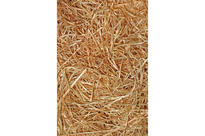 Nobuyuki Gångmatta 80x150 cm Rektangulär Flerfärgad - Textilier & mattor - Mattor - Modern matta - Gångmattor