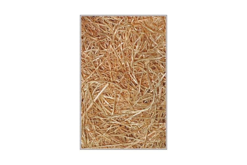 Nobuyuki Gångmatta 80x150 cm Rektangulär - Flerfärgad - Textilier & mattor - Mattor - Modern matta - Gångmattor