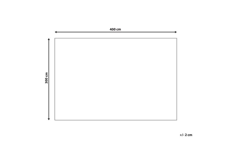 Matta Aspani - 300x400 cm - Textilier & mattor - Mattor - Modern matta - Wiltonmattor