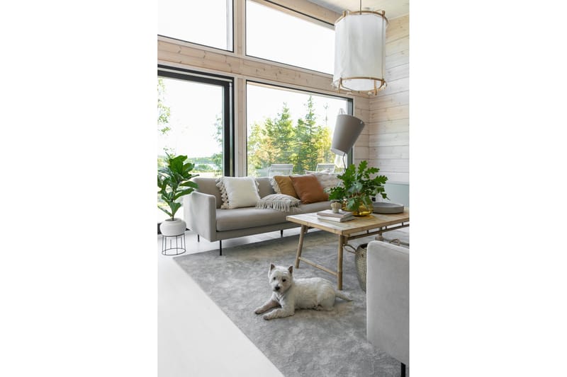 Hattara Matta 160x230 cm Beige - VM Carpets - Textilier & mattor - Mattor - Modern matta - Ryamattor