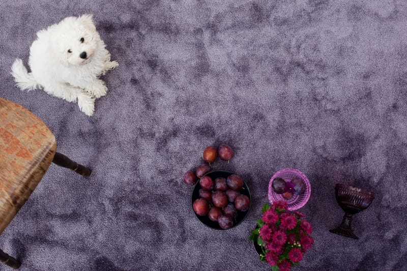 Satine Matta 160x230 cm Lila - Vm Carpet - Textilier & mattor - Mattor - Modern matta - Ryamattor
