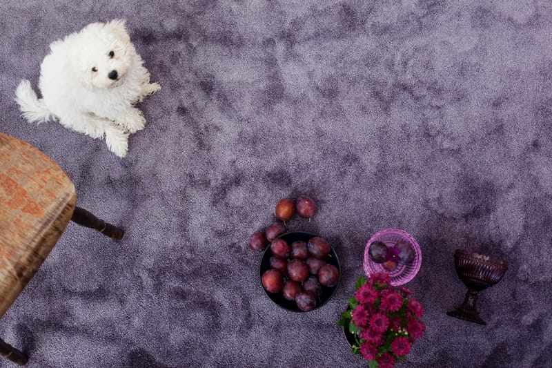 SATINE Matta 80x250 cm Lila - Vm Carpet - Textilier & mattor - Mattor
