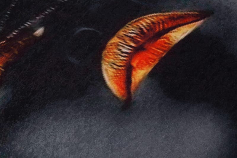 Homefesto Matta 100x150 cm - Multifärgad - Textilier & mattor - Mattor - Orientaliska mattor - Persisk matta