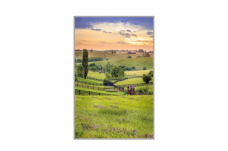 Homefesto Matta 100x150 cm, Multifärgad