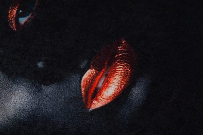 Homefesto Matta 100x150 cm - Multifärgad - Textilier & mattor - Mattor - Orientaliska mattor - Persisk matta