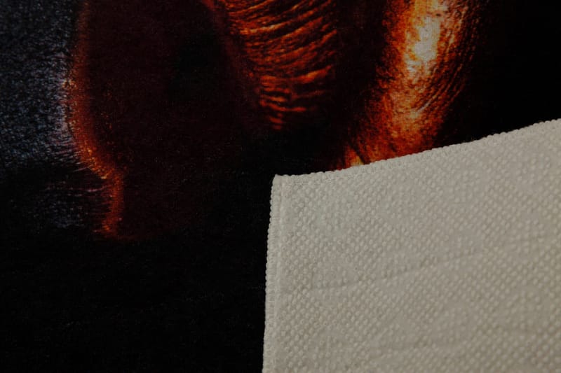 Homefesto Matta 100x150 cm - Multifärgad - Textilier & mattor - Mattor - Orientaliska mattor - Persisk matta