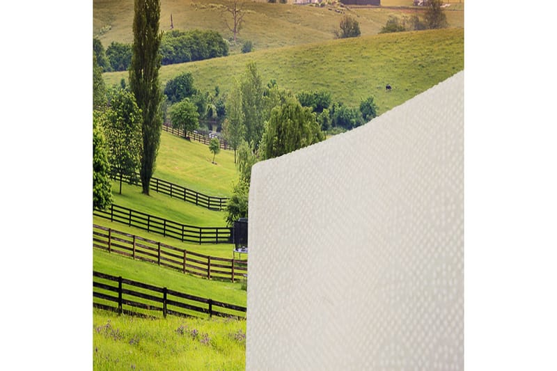 Homefesto Matta 100x200 cm - Multifärgad - Textilier & mattor - Mattor - Orientaliska mattor - Persisk matta