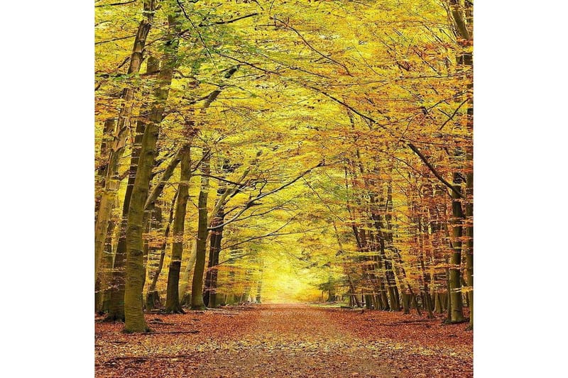 Homefesto Matta 120x180 cm - Multifärgad - Textilier & mattor - Mattor - Orientaliska mattor - Persisk matta