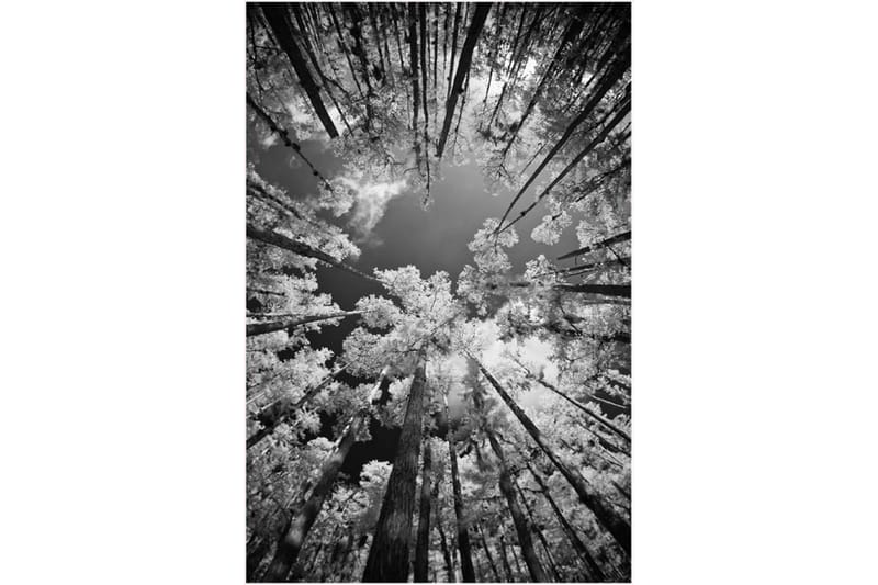 Homefesto Matta 120x180 cm - Multifärgad/Sammet - Textilier & mattor - Mattor - Orientaliska mattor - Persisk matta