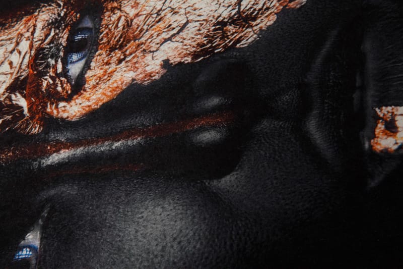 Homefesto Matta 160x230 cm - Multifärgad - Textilier & mattor - Mattor - Orientaliska mattor - Persisk matta