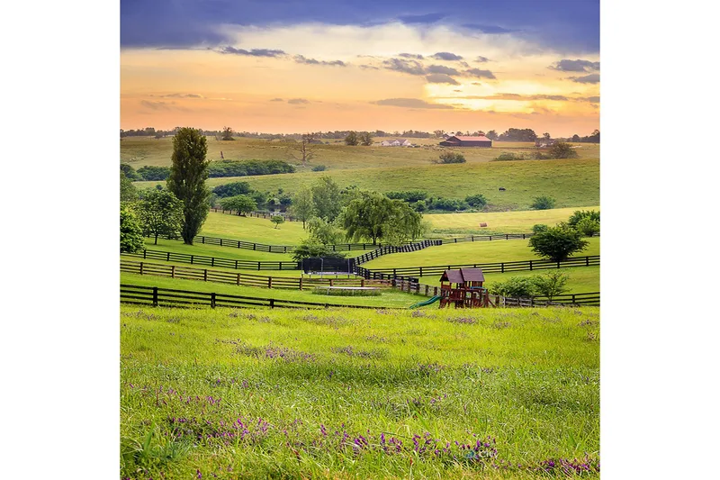 Homefesto Matta 180x280 cm - Multifärgad - Textilier & mattor - Mattor - Orientaliska mattor - Persisk matta