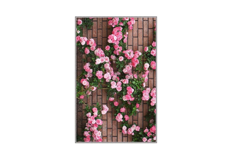 Homefesto Matta 80x120 cm - Multifärgad - Textilier & mattor - Mattor - Orientaliska mattor - Persisk matta